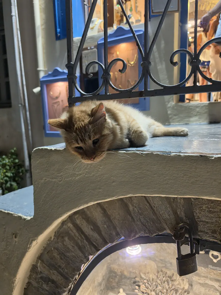 A ginger cat dozing on a ledge beside a whitewashed wall with blue-painted ironwork